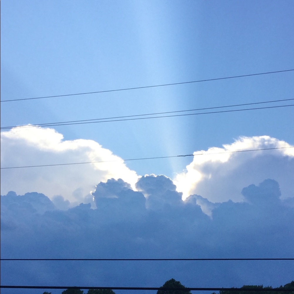 Meet your Posher, Gracie